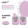Double Apple Ice – Iget B5000 - Iget B5000 Puff Rechargeable Disposable Vape in Blueberry Razz Flavor; Two Purple Devices with Cartoon Art and a Side View. - Iget Vapes Shop Oz