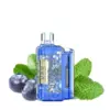 Cranberry Raspberry Ice Iget Flare B10000 Puffs | Buy in Australia Iget Vapes Shop Oz Blueberrymintigetflareb10000puffs600x6001webp Iget Vapes Shop Oz Cranberry Raspberry Ice – Iget Flare B10000 Puffs - Buy Blueberry Mint – Iget Flare B10000 Puffs | Buy in Australia | Iget Vapes Shop Oz - Iget Vapes Shop Oz