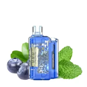 Buy Blueberry Mint – IGET Flare B10000 Puffs | Buy in Australia | IGET Vapes Shop Oz