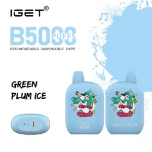 Green Plum Ice – Iget B5000 - Iget B5000 Disposable Vape in Green Plum Ice Flavor, Shown As Two Blue Devices with Cartoon Artwork and a Matching Pod Image. - Iget Vapes Shop Oz