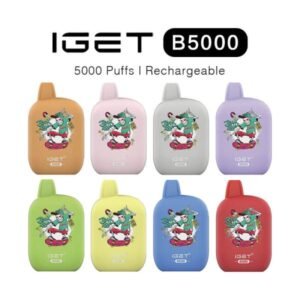 Iget B5000 Rechargeable Vape - Iget B5000 Rechargeable Vape 5000 Puffs | 10ml | Type-c | Iget Vapes Shop Oz Shop - Iget Vapes Shop Oz