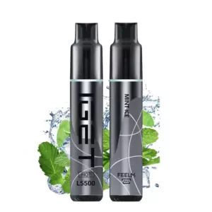 Mint Ice – Iget Hot 5500 Puffs - Pair of Black Disposable Vape Pens Standing Upright, with Mint Leaves and Icy Splash in the Background; Labels Read Hot L5500 and Feelm Max Mix/mla. - Iget Vapes Shop Oz