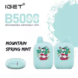 Mountain Spring Mint – Iget B5000 - Iget B5000 Disposable Vape in Mint-blue, Mountain Spring Mint Flavor; Two Devices and a Pod on a Mint Background. - Iget Vapes Shop Oz
