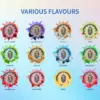 Grid of colorful flavor logos with fruit splash accents and labels for each flavor (Ice Berries, Black Cherry, Blackcurrant, Ice Cola, Apple, Peach, Cool Mint, Spearmint, Tobacco, Blueberry, Peppermint, Menthol, Watermelon, Wintergreen, Strawberry, Citrus, Red Ruby, Tropical).