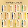 Grid of flavor cards under 'Various Flavours' showing a dozen fruit- and candy-themed packaging designs (assorted juice flavors).