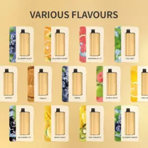 Grid of flavor cards under 'Various Flavours' showing a dozen fruit- and candy-themed packaging designs (assorted juice flavors).